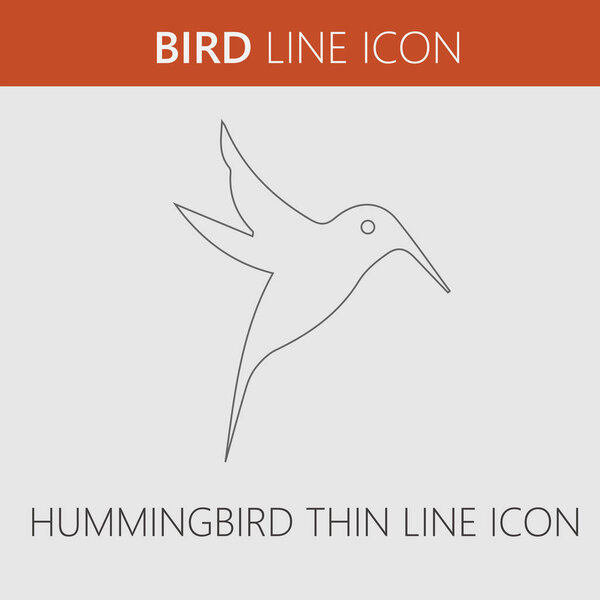 Hummingbird vector icon. Bird symbol. Vector EPS 10