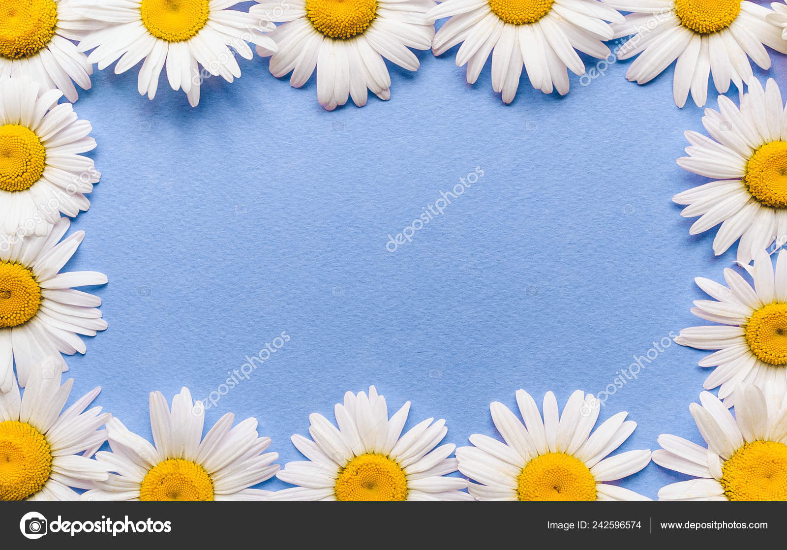 Marco flores azul fotos de stock, imágenes de Marco flores azul sin royalties | Depositphotos Marco flores azul fotos de stock, imágenes de Marco flores azul sin royalties | Depositphotos