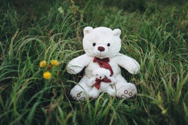 Yeşil çim üzerinde iki beyaz oyuncak ayılar.