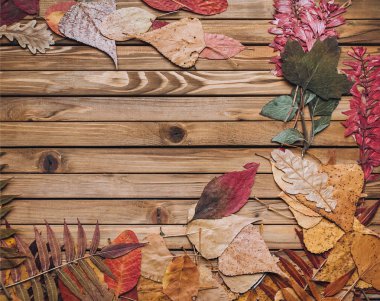 Sonbahar kuru yaprakları, metin için alan