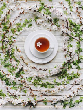 Beyaz ahşap arka planda yeşil çay ve bahar kayısı çiçeği fincan. Rustik, üst görünüm.