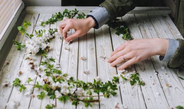 Romantik DIY kompozisyon. Beyaz masada güzel beyaz çiçekli kayısı çelenk tutan kadın el.