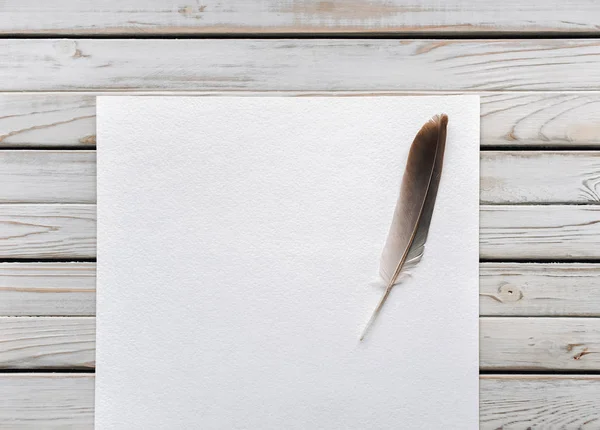 Φτερό σε ένα κενό φύλλο χαρτί ως σύμβολο της ποίησης. Γραφής — Φωτογραφία Αρχείου