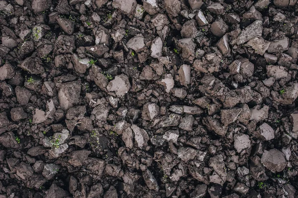 Solo Negro Perto Agricultura Chernozem Cultivo Terra Fundo Cinzento — Fotografia de Stock