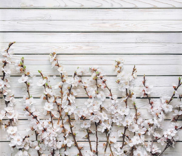Lente Bloemen Takken Van Bloeiende Abrikozen Houten Rustieke Achtergrond Sakura — Stockfoto