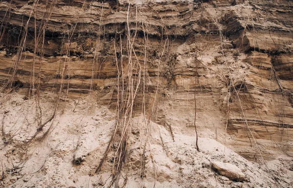 地下的一层粘土 这些植物的根在地下 土壤与黏土和沙子 — 图库照片