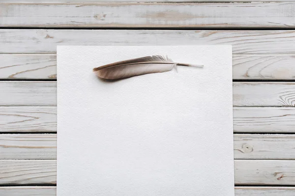 Φτερό σε ένα κενό φύλλο χαρτί ως σύμβολο της ποίησης. Γραφής — Φωτογραφία Αρχείου