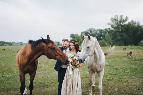 Pasgetrouwden Wandelen Een Bos Glade Ontmoette Twee Wilde Paarden Bruiloft — Stockfoto