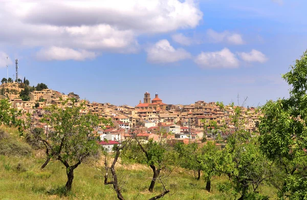 Ovocné Stromy Města Calaceite Provincii Teruel Aragon Španělsko — Stock fotografie