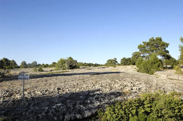 Enchanted Forest ( Bosque Encantado Mar de Piedra ) Cuenca; La Mancha, Spain