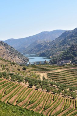 Portekiz, Saucelle Barajı yakınlarındaki Doğal Park Douro Uluslararası Arazisi
