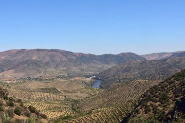 Sapinha-Escalhao, Guarda, Portekiz yakınlarındaki Doğal Park Douro Uluslararası Arazisi