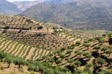 Sapinha-Escalhao, Guarda, Portekiz yakınlarındaki Doğal Park Douro Uluslararası Arazisi