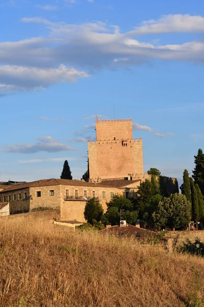 萨拉曼卡省的罗德里哥的城堡 西班牙的卡斯蒂利亚里昂 — 图库照片