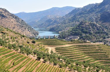 Portekiz, Saucelle Barajı yakınlarındaki Doğal Park Douro Uluslararası Arazisi