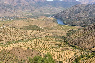 Sapinha-Escalhao, Guarda, Portekiz yakınlarındaki Doğal Park Douro Uluslararası Arazisi