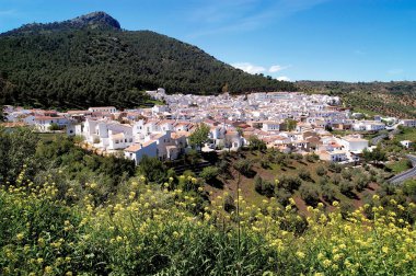 El Gastor Köyü, Cadiz Eyaleti, Andalusia, Sapain