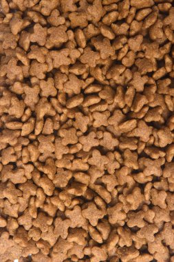 köpek besleme closeup