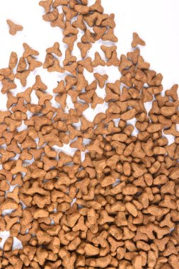 beslemek-in kedi closeup