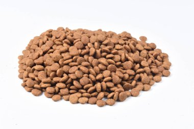 beslemek-in kedi closeup