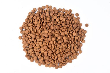 beslemek-in kedi closeup