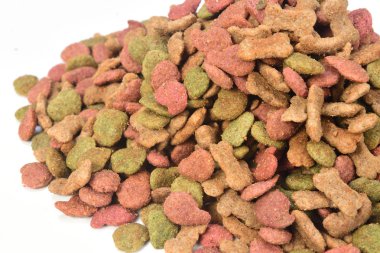 köpek besleme Close-up