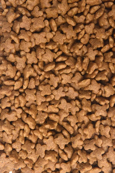 Köpek Besleme Closeup — Stok fotoğraf
