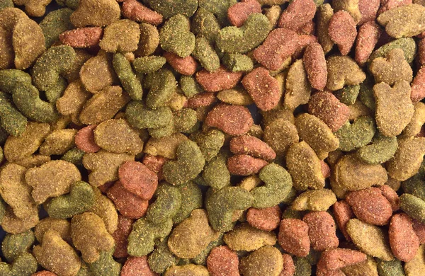 Closeup Της Τροφής Του Σκύλου — Φωτογραφία Αρχείου