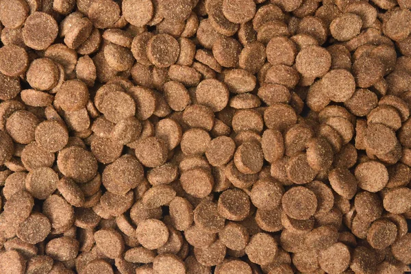 Closeup Της Τροφής Του Σκύλου — Φωτογραφία Αρχείου
