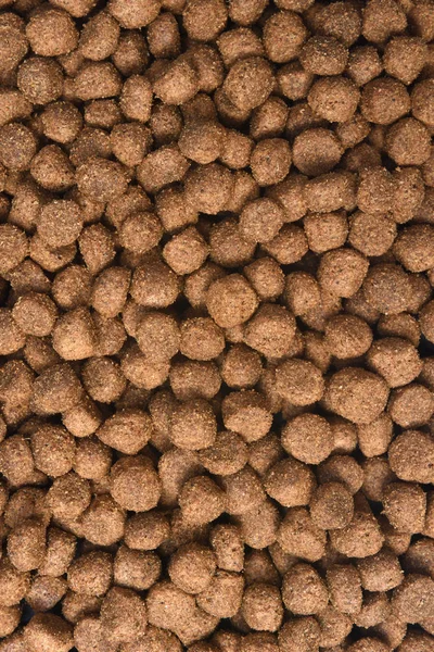 Closeup Feed Dog — Stock Photo, Image