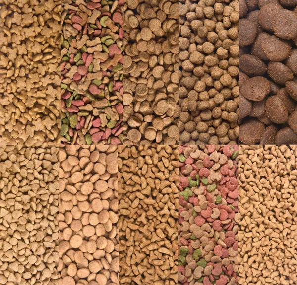 different type of dog and cat food, the dog is on the top
