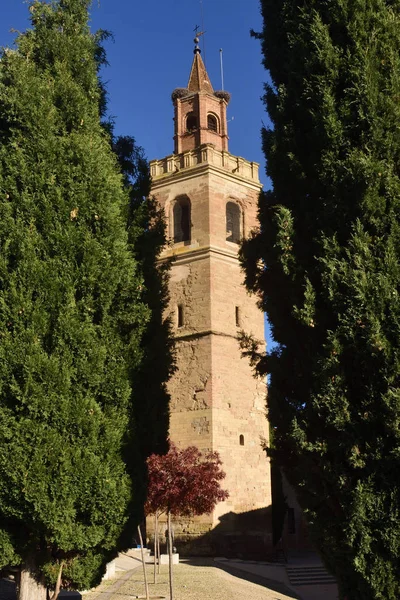 Kathedraal Van Asunción Barbastro Provincie Huesca Aragon Spanje — Stockfoto