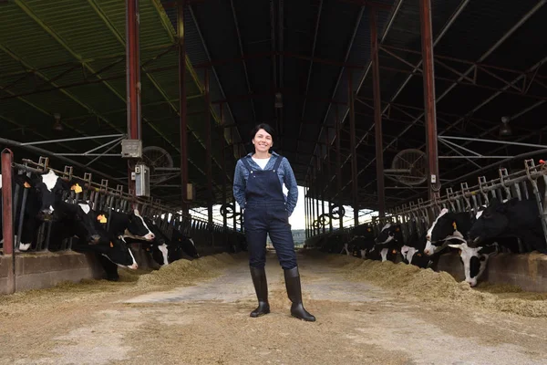 Portrait Une Agricultrice Avec Des Vaches — Photo