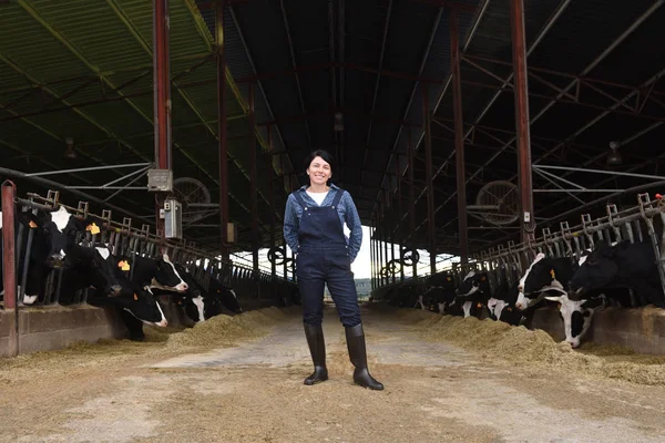 Portrait Woman Farmer Cows Royalty Free Stock Photos