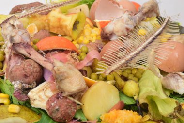 kompost meyve, vegetagles, balık, yumurta ve kemikler için geri dönüşüm