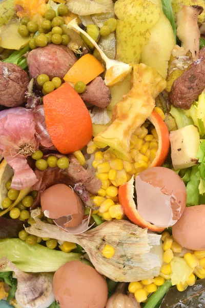Riciclaggio Frutta Verdura Uova Compost — Foto Stock