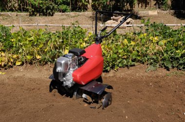 Kültivatör bir alanında, meyve bahçesi