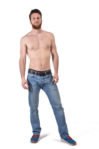 Homem sem camisa e com jeans azuis no fundo branco — Fotografia de Stock