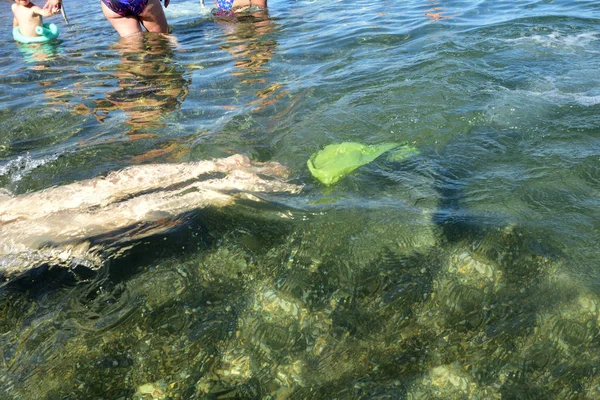 Mujer buceando en el mar con basura — Foto de Stock