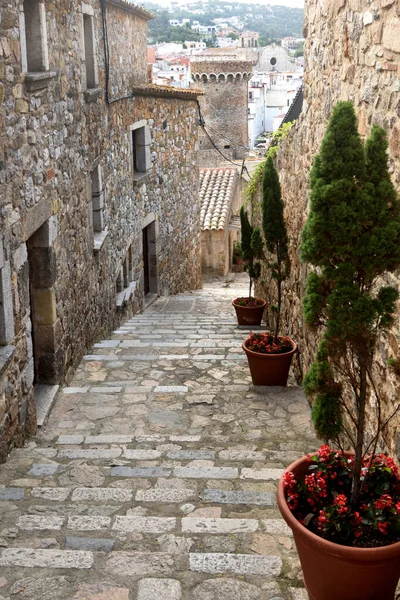 Casco Antiguo Tossa Mar Provincia Girona Cataluña España — Foto de Stock