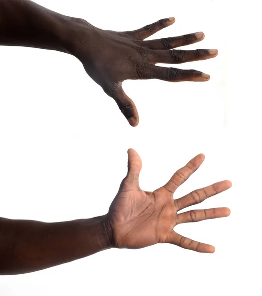 Palm Och Baksidan Handen Afrikansk Man Vit Bakgrund — Stockfoto