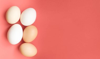 Renkli arka planda organik, taze ve çiğ tavuk yumurtası..