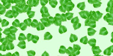 Yeşil arka planda taze yeşil yapraklar.