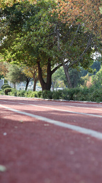 Low angle view of empty walking track in park.