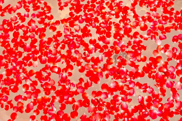 红玫瑰花瓣散落在按摩浴缸上的白色浴缸泡泡 顶视图 — 图库照片