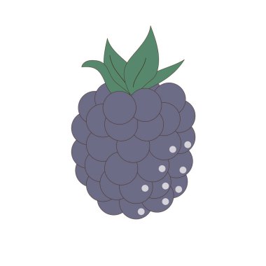 Beyaz arka planda böğürtlen. Mavi böğürtlen Görüntü.