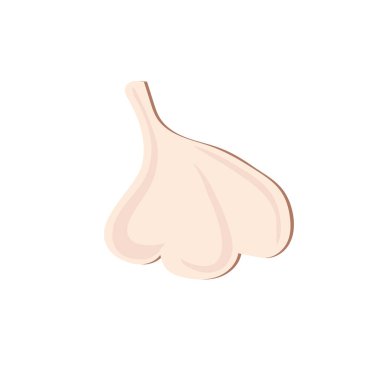 Beyaz arka planda 26Sarımsak. Sebze. Görüntü.