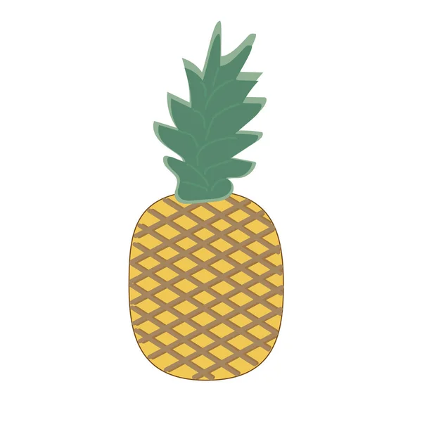 Ananas Bílé Pozadí Tropické Ovoce Ilustrace — Stockový vektor