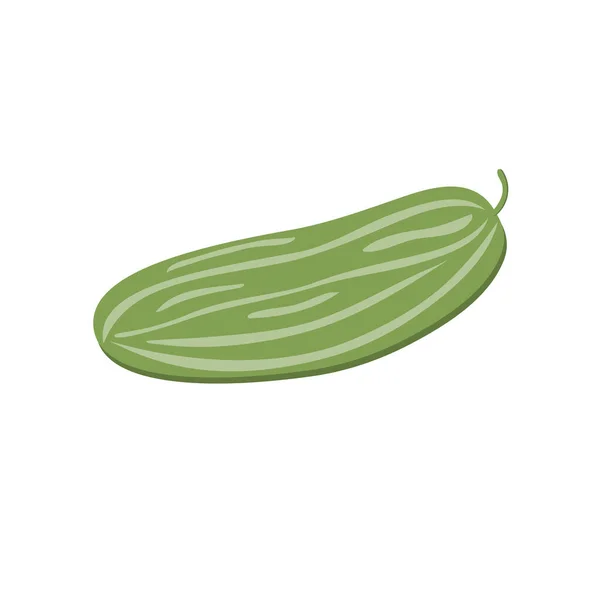 Спелый Зеленый Огурец Белом Фоне Овощи Иллюстрация — стоковый вектор