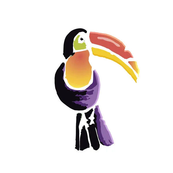 Tropical Toucan bird. Wild exotic animal. Vector illustration.